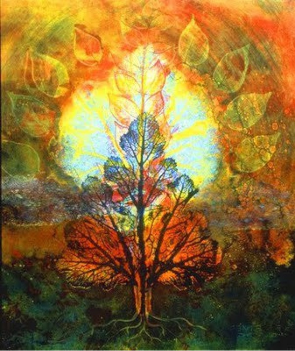 Tree Equinox Tree Equinox